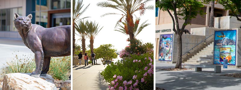 Collage of photos of bronze mountain lion statues, campus plants in full bloom and the Taylor mosaics