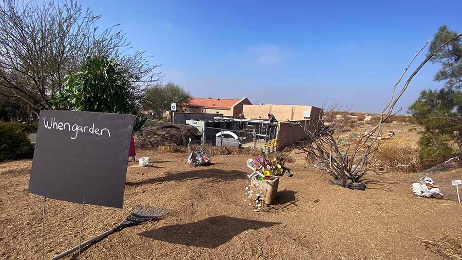 Making Refuge installation showing a barren garden with found objects arranged as plants surrounding a tree